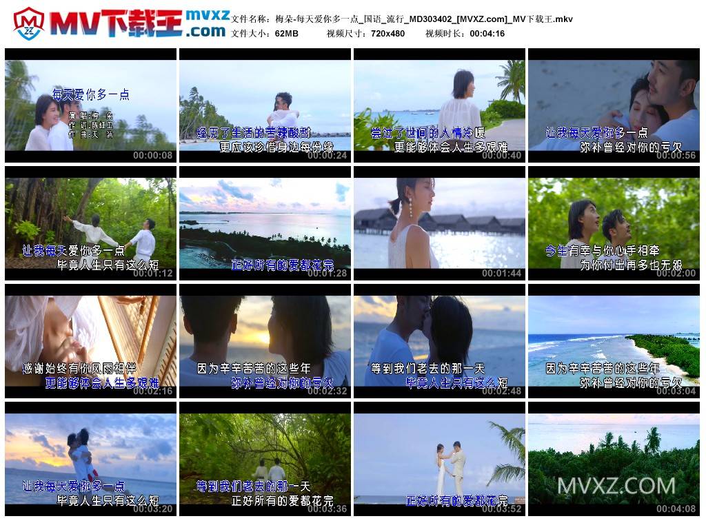 梅朵-每天爱你多一点_国语_流行_MD303402